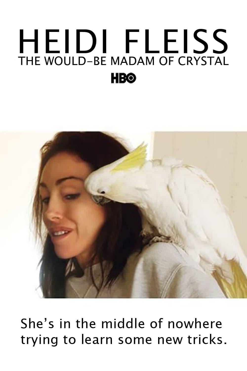 Heidi Fleiss: The Would-be Madam of Crystal poster