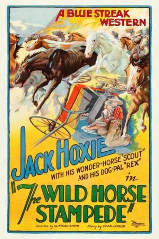 The Wild Horse Stampede poster