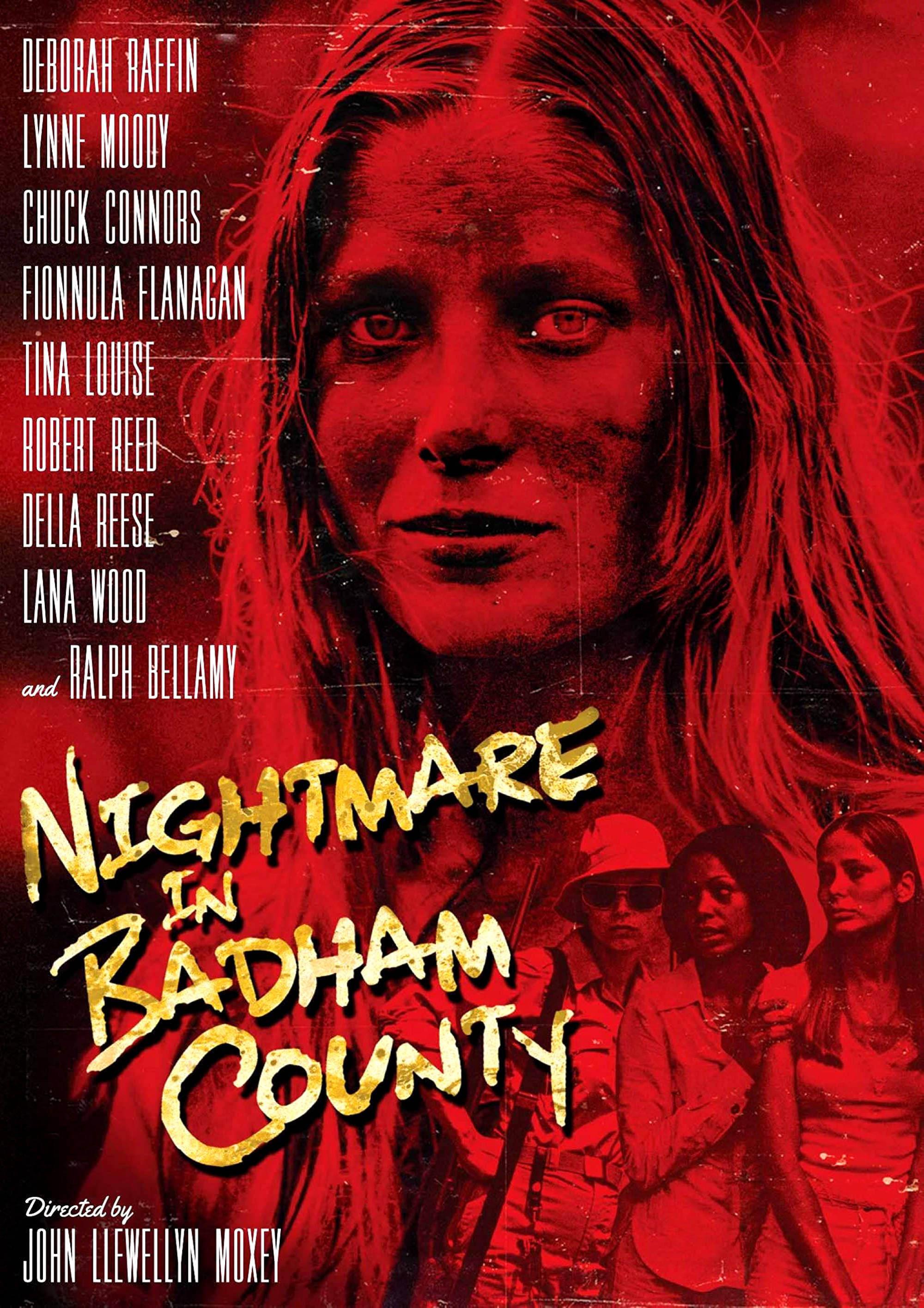 Nightmare in Badham County poster