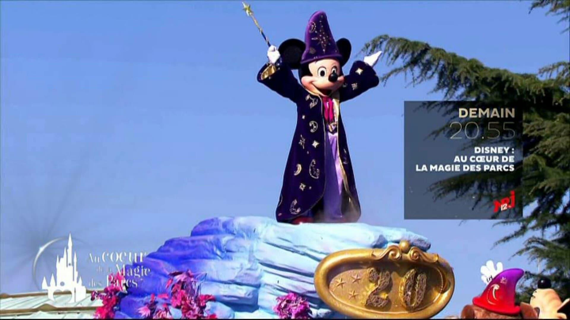 Disney : Au Cœur de la Magie des Parcs backdrop