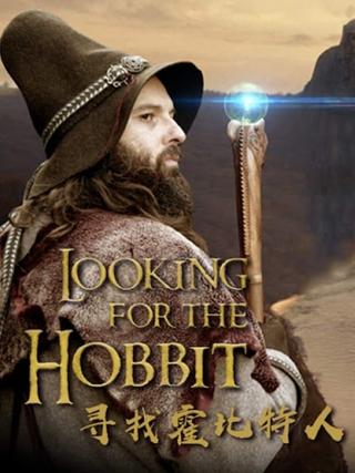 Looking for the Hobbit poster