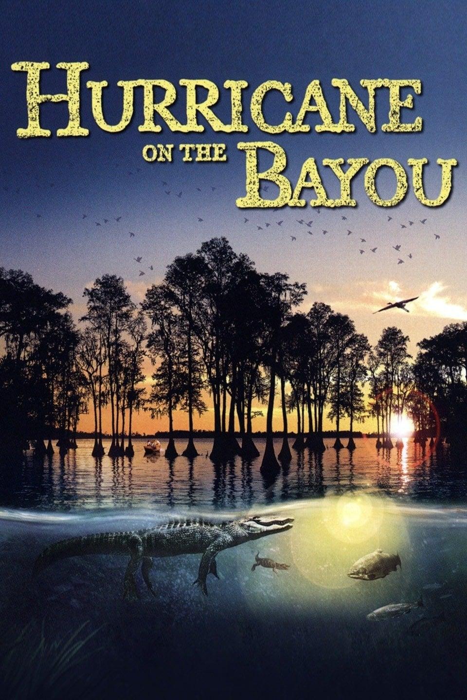 Hurricane on the Bayou poster