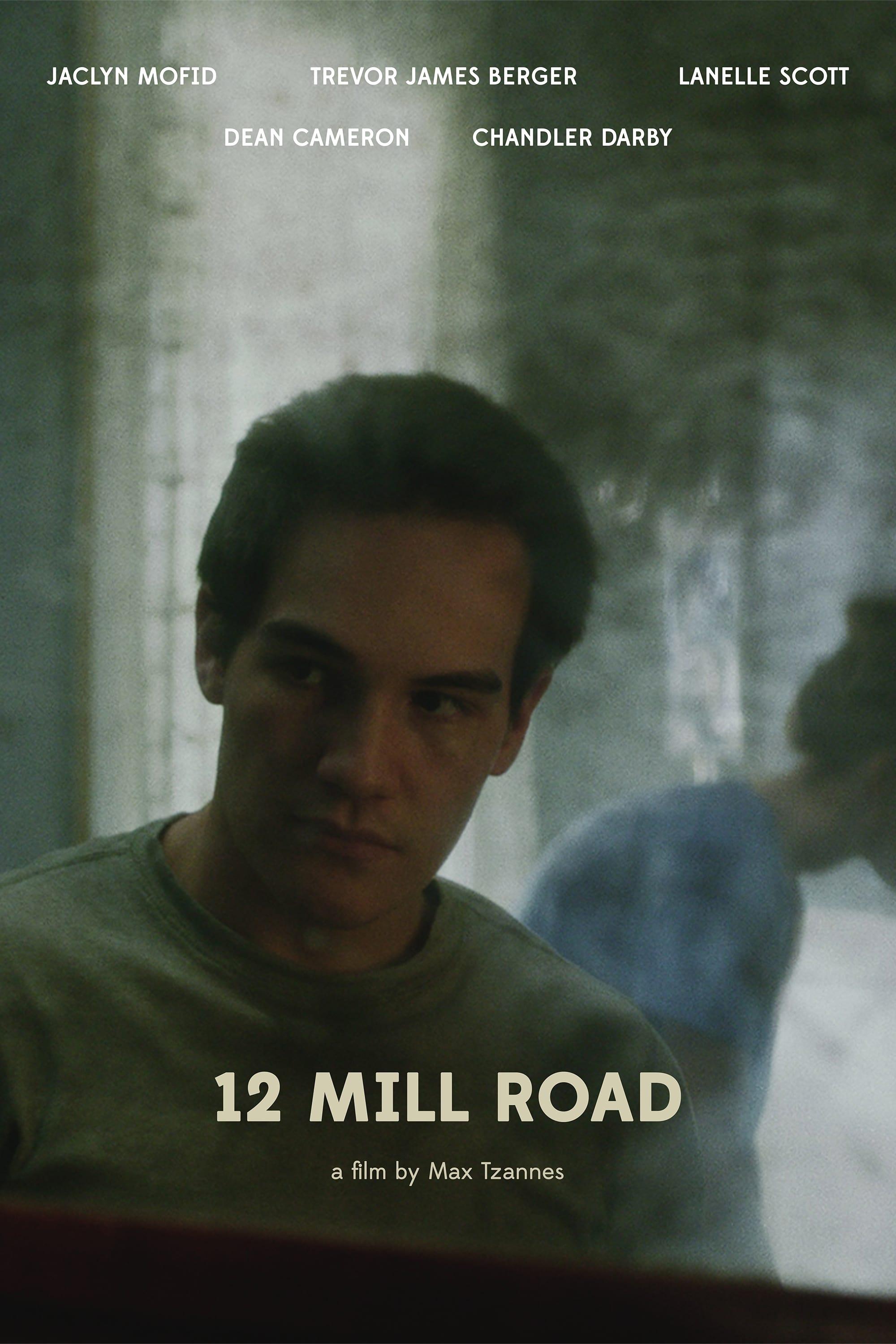 12 Mill Road poster