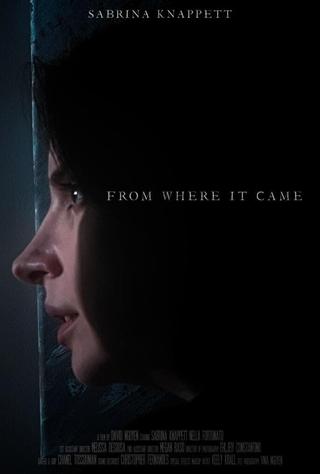 From Where It Came poster