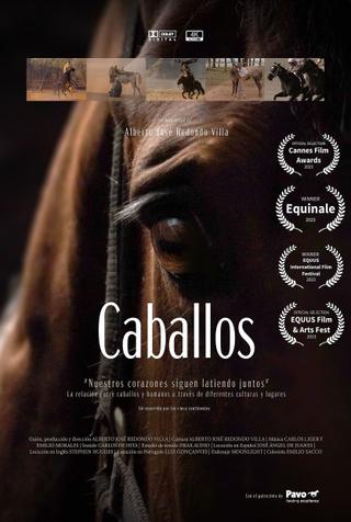 Caballos poster