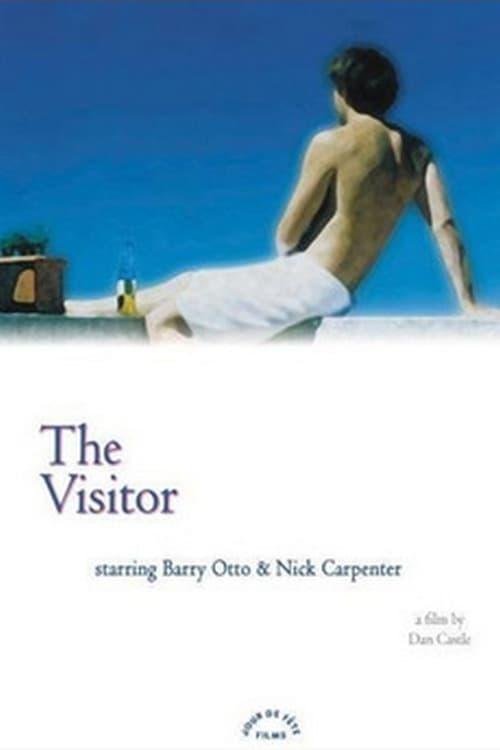 The Visitor poster