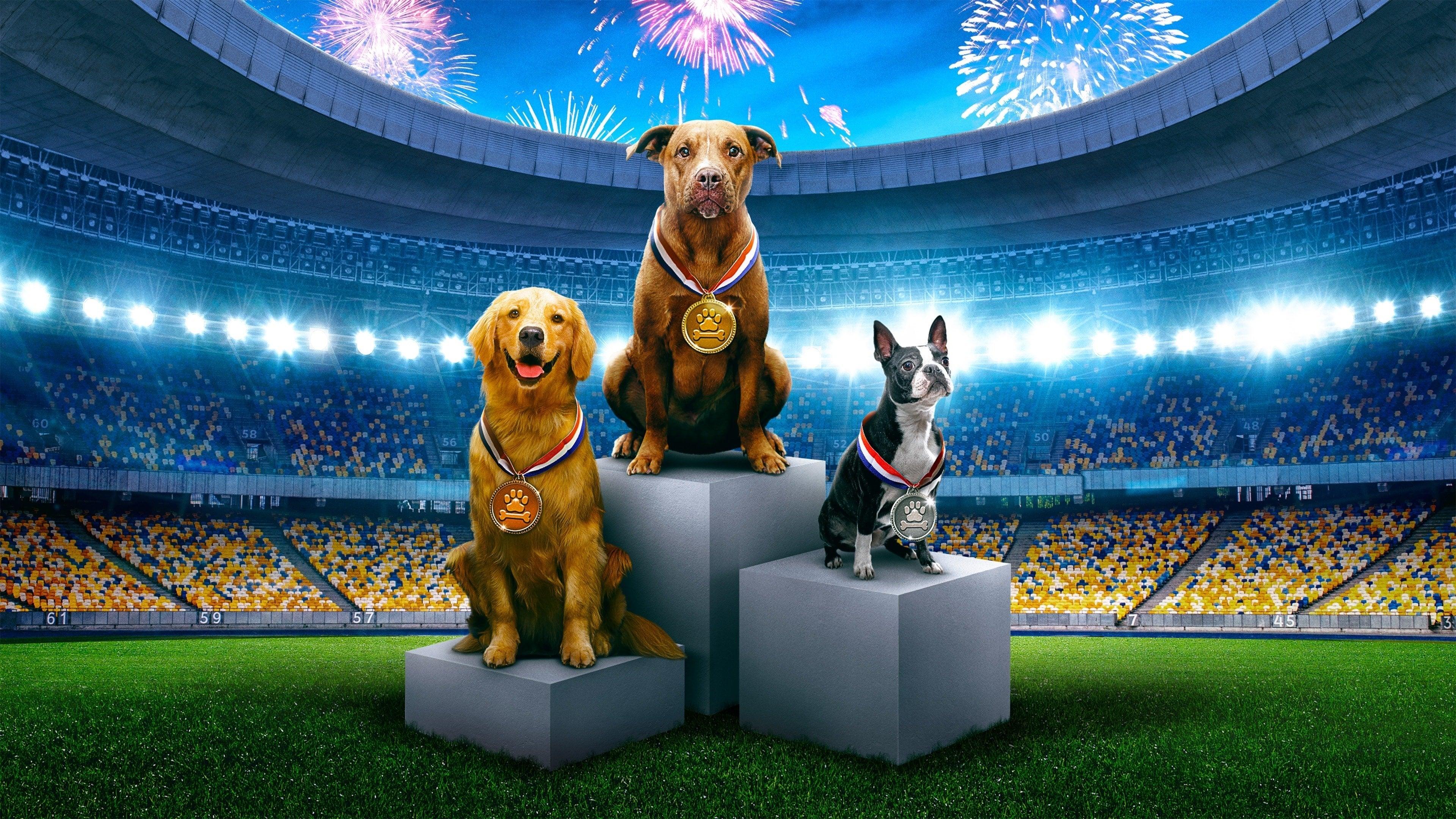 Puppy Bowl Presents: The Summer Games backdrop