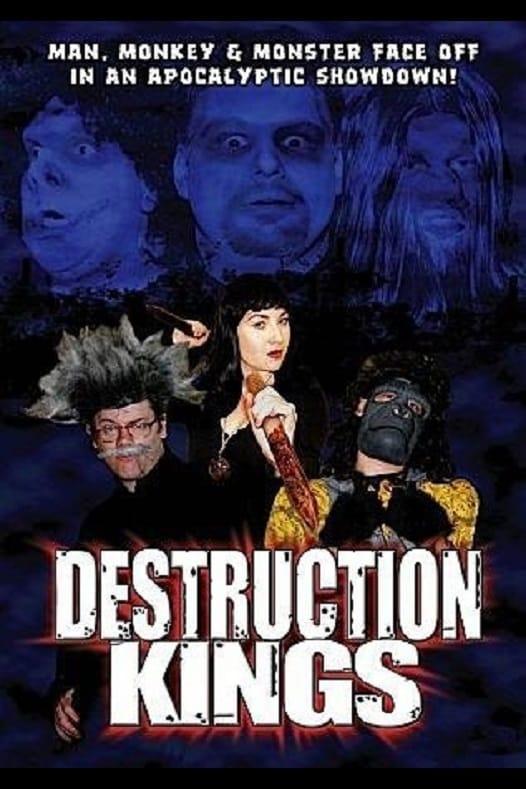 Destruction Kings poster