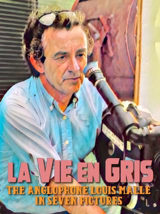 La Vie en Gris: The Anglophone Louis Malle in Seven Pictures poster