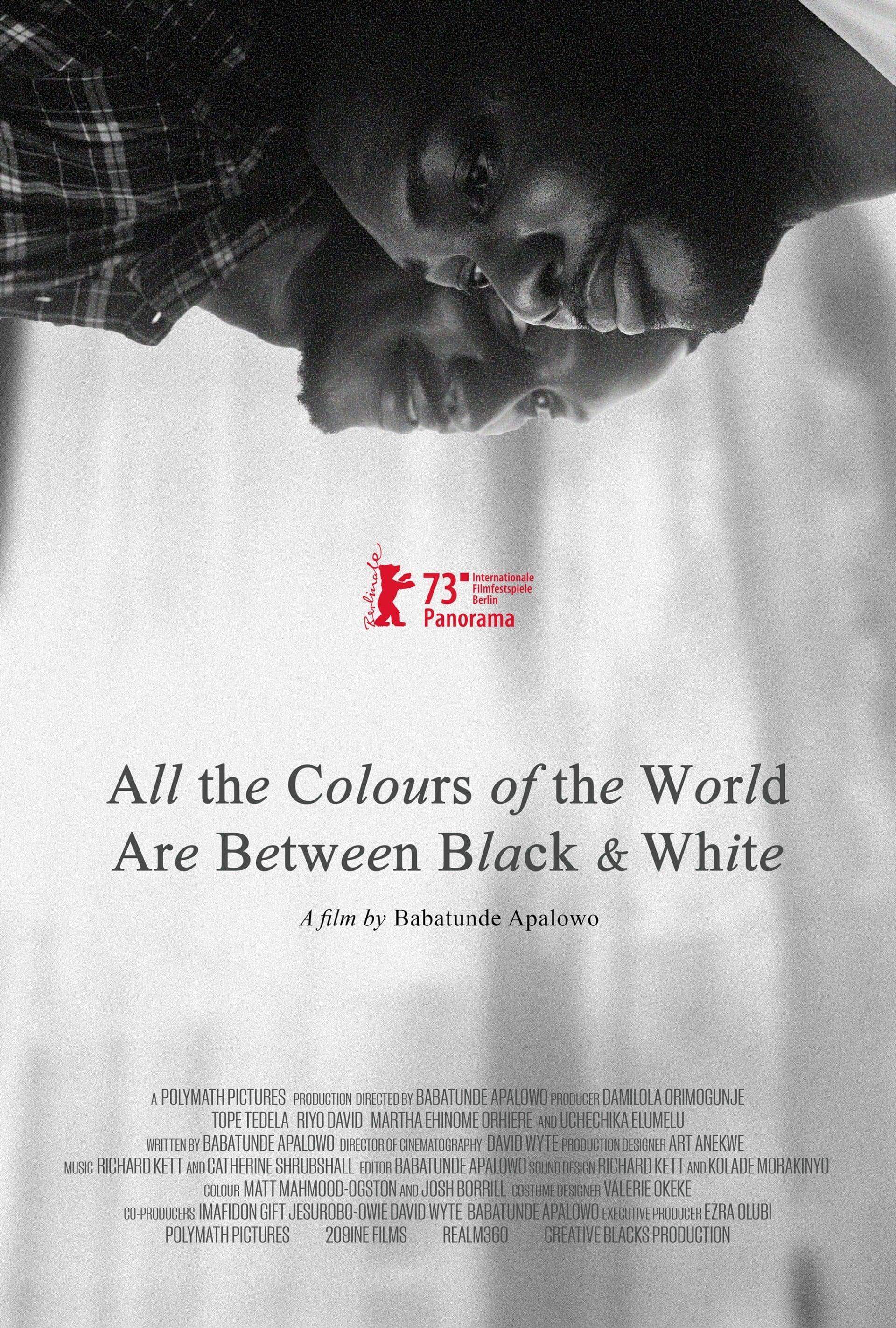 All the Colours of the World Are Between Black and White poster