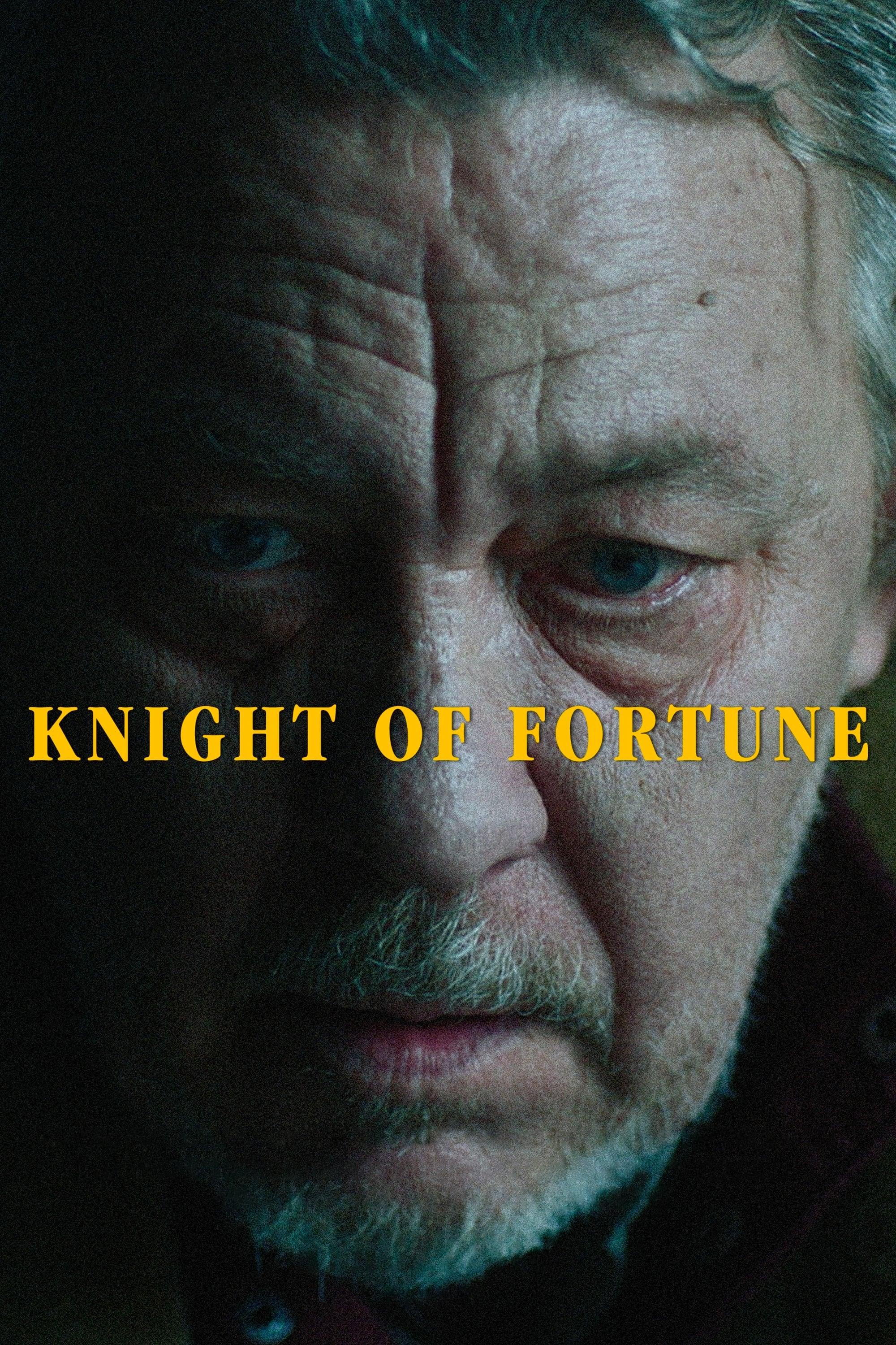 Knight of Fortune poster