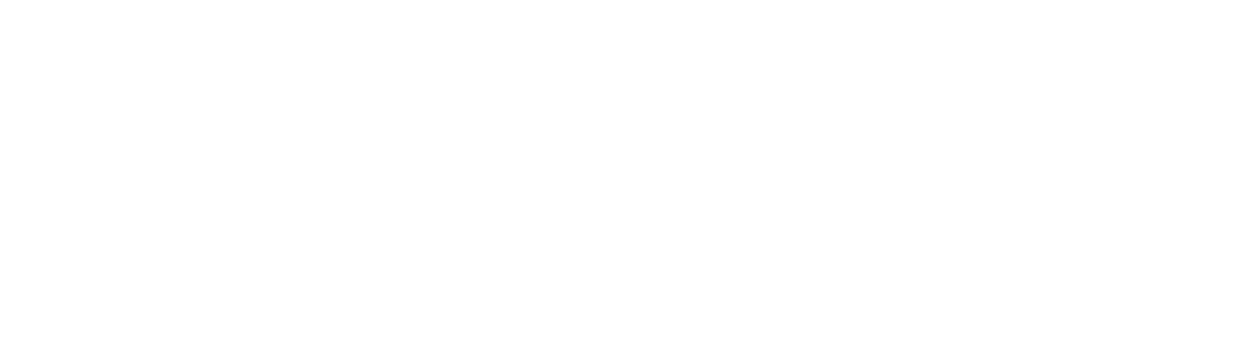 Secret Lives of College Escorts logo