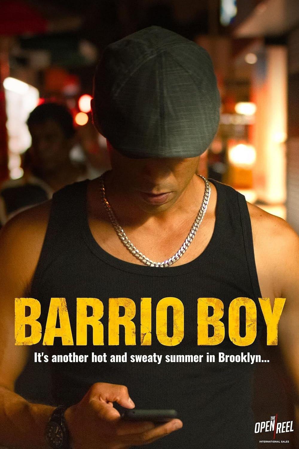 Barrio Boy poster