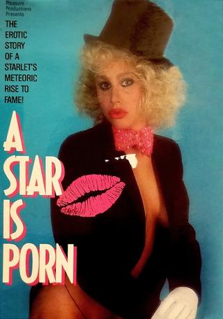 A Star Is Porn poster