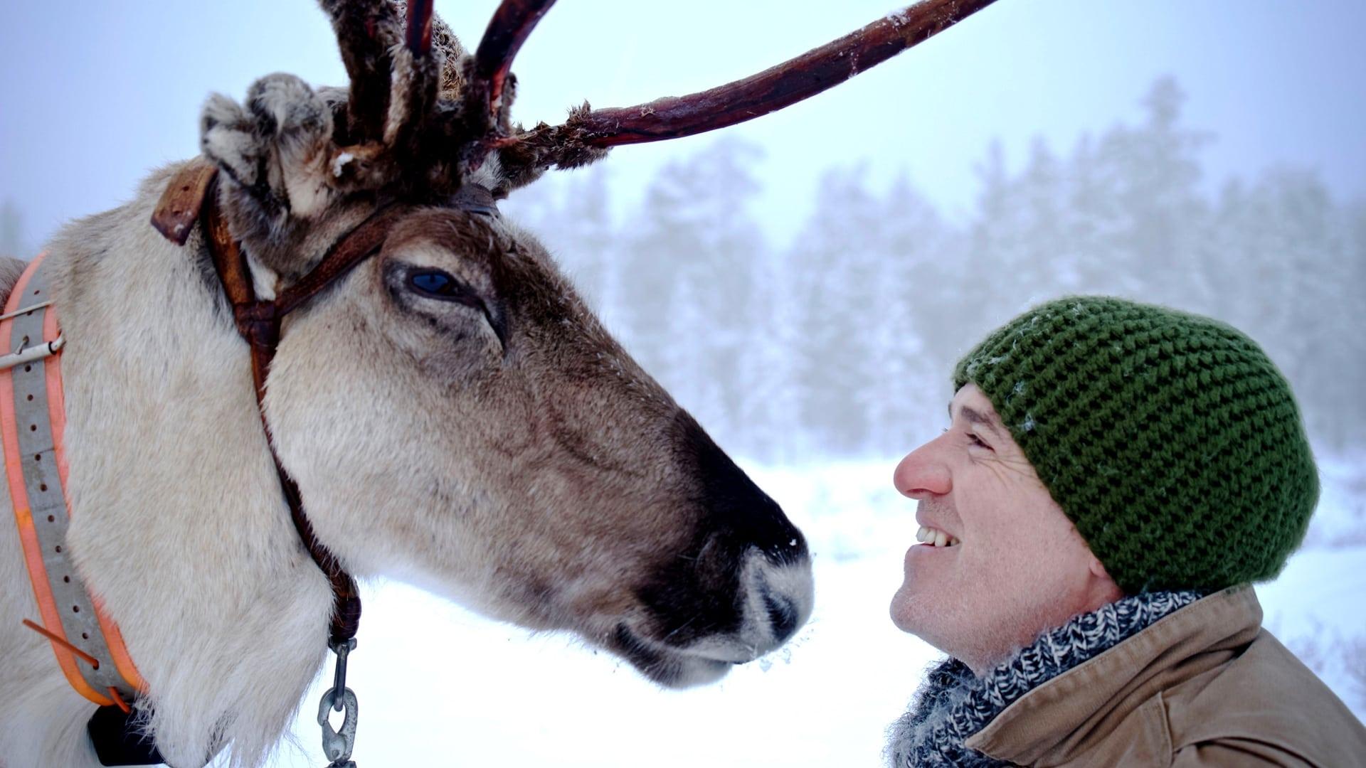 Reindeer Family & Me backdrop