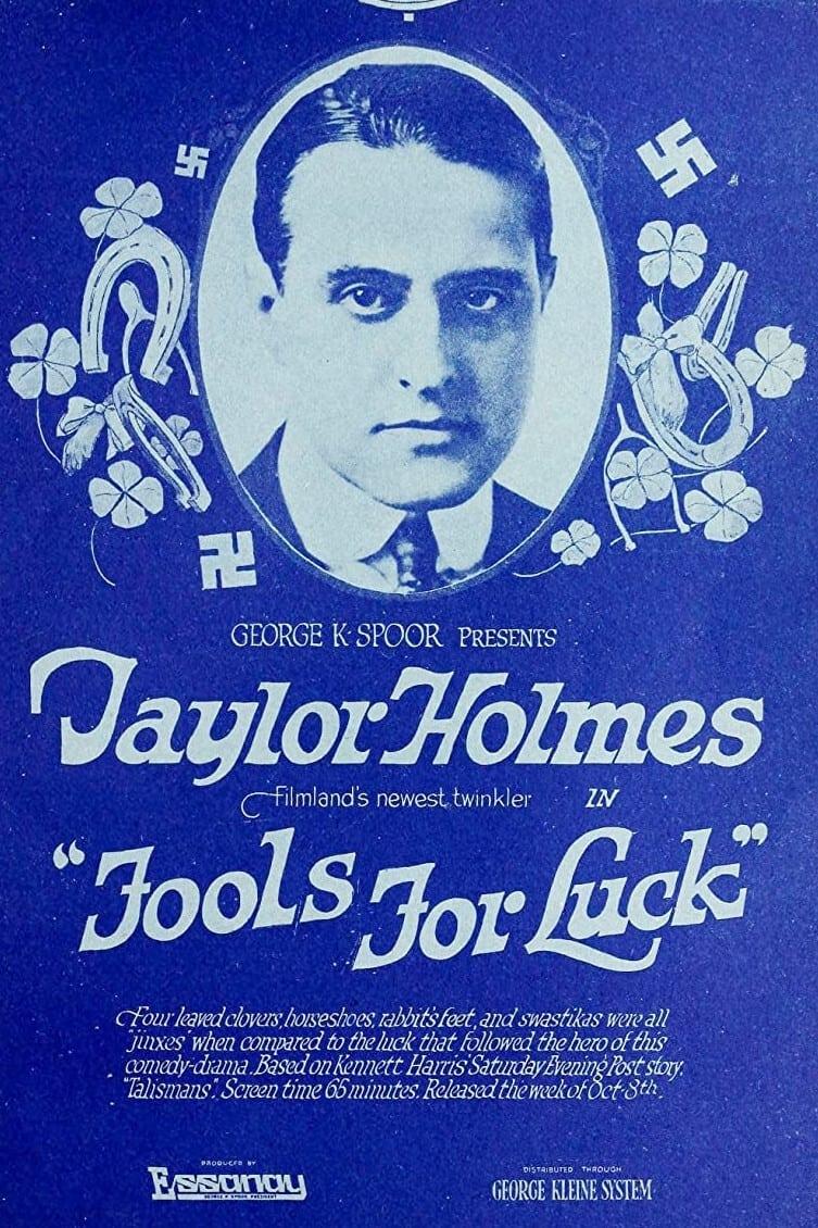 Fools For Luck poster