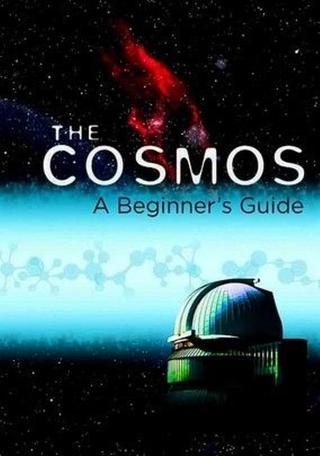 The Cosmos: A Beginner's Guide poster