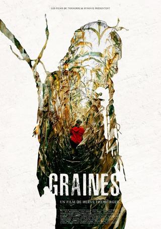 Graines poster