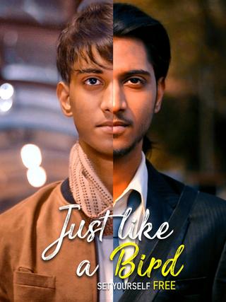 Just Like A Bird poster