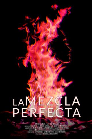 La mezcla perfecta poster