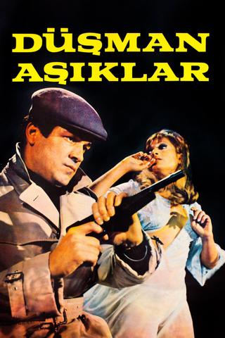 Düşman Aşıklar poster