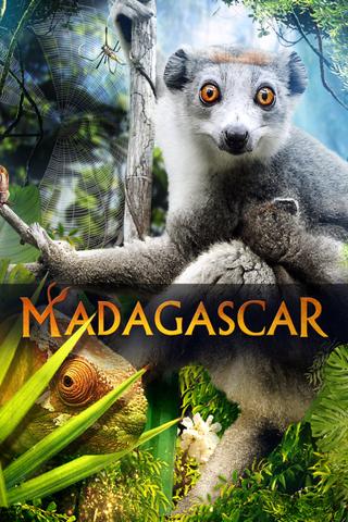 Madagascar 3D poster