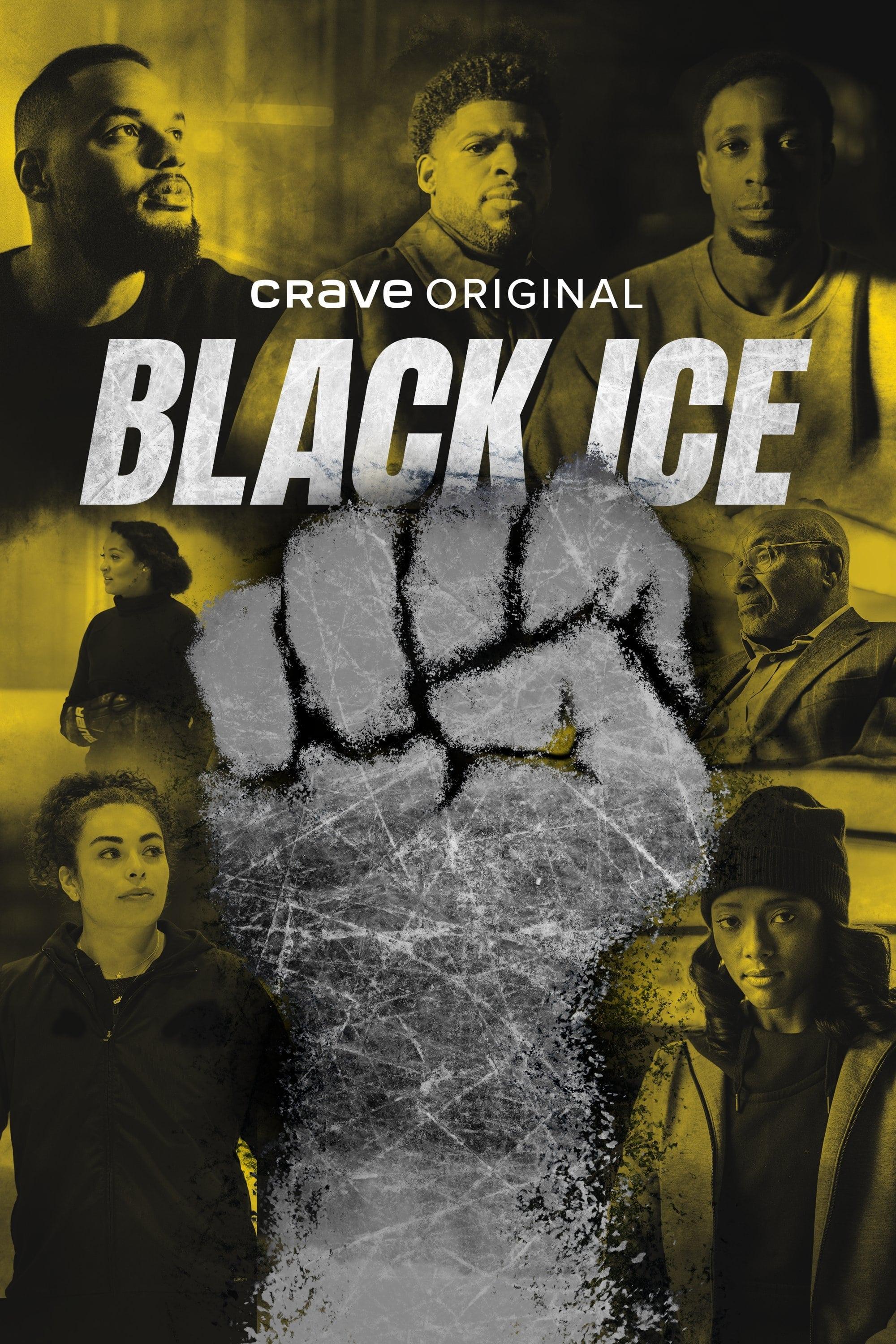 Black Ice poster