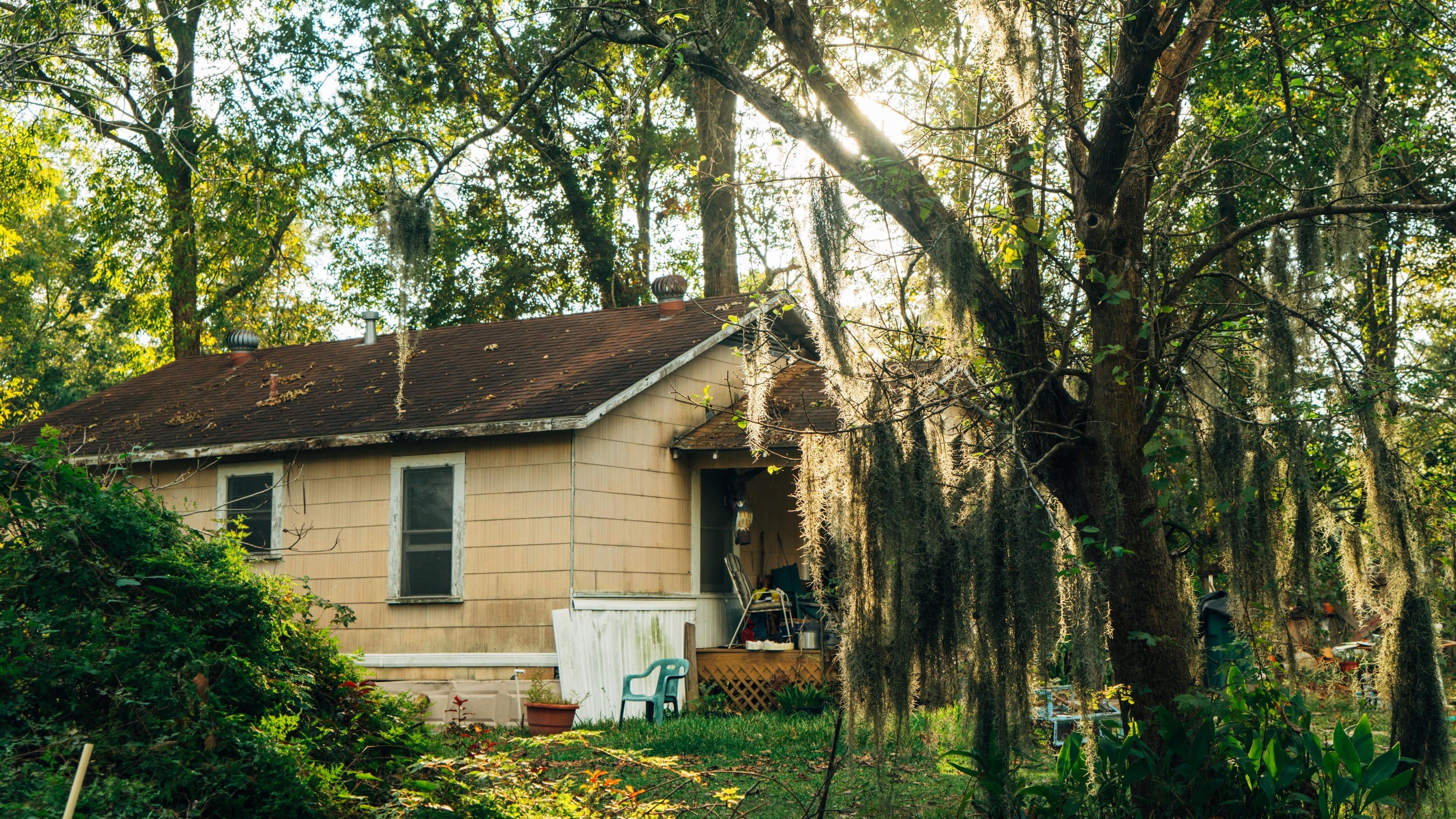 Mossville: When Great Trees Fall backdrop