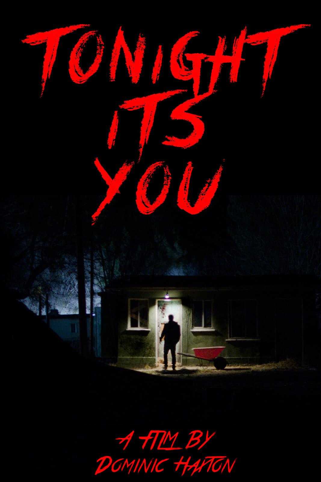 Tonight It's You poster