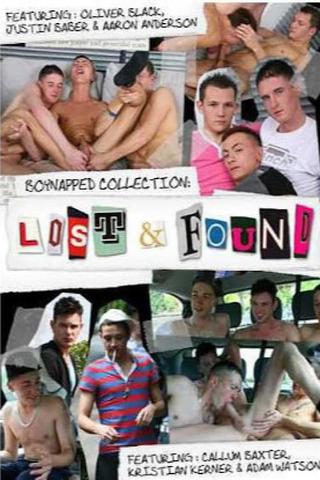 Boynapped Collection: Lost and Found poster