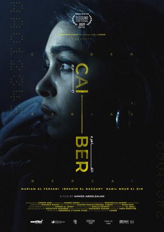 CAI - BER poster