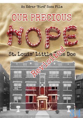 Our Precious Hope: St. Louis' Little Jane Doe Revisited poster