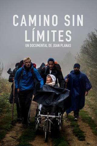 The Way Without Limits poster