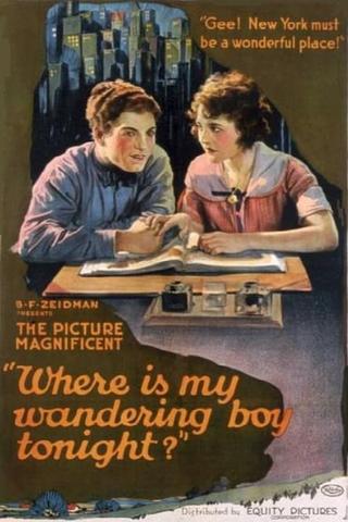 Where's my Wandering Boy Tonight? poster