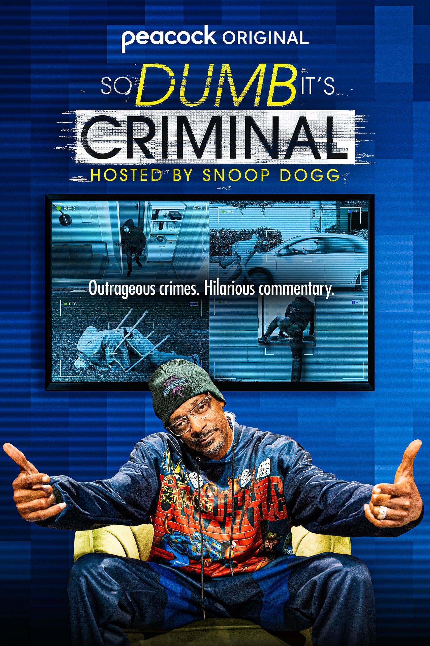 So Dumb It's Criminal Hosted by Snoop Dogg poster