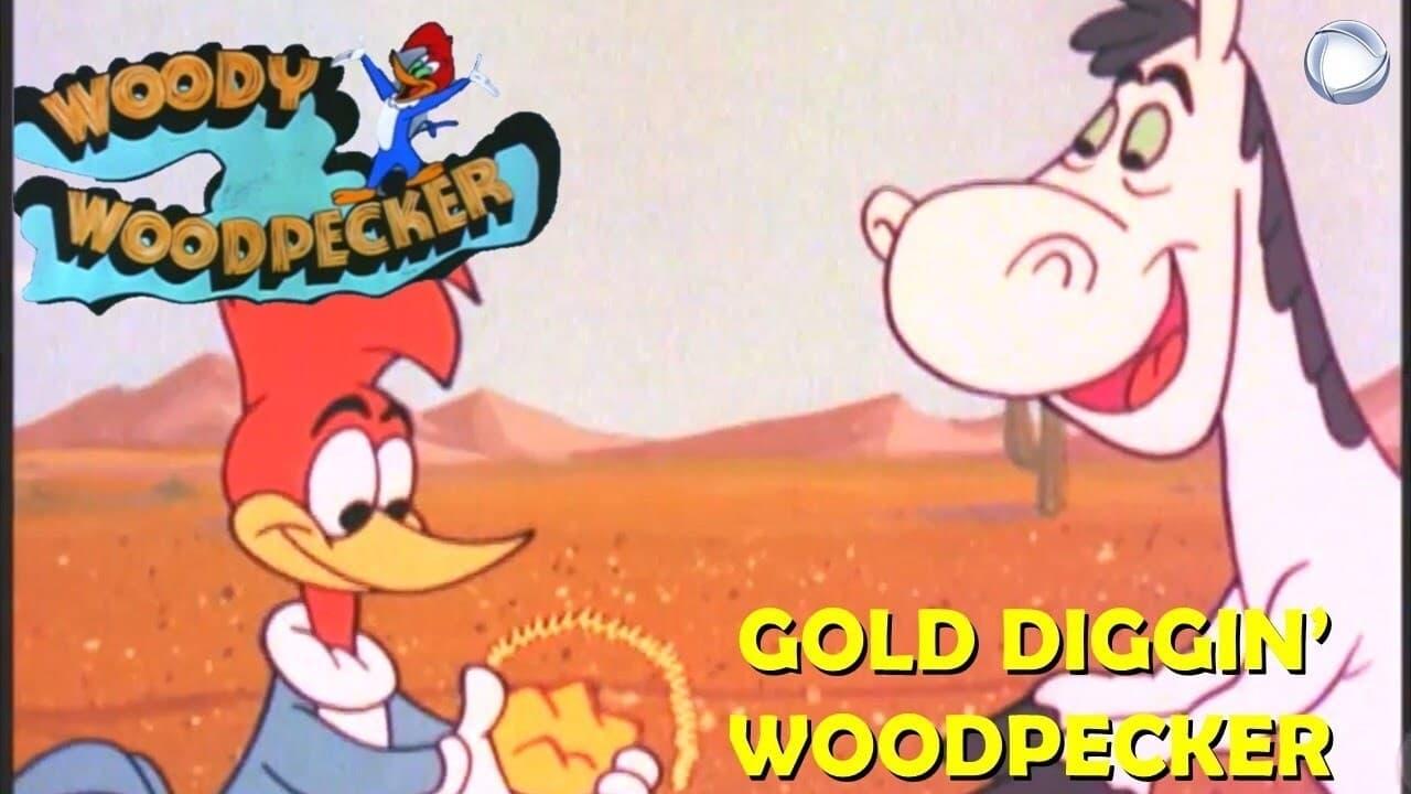 Gold Diggin' Woodpecker backdrop