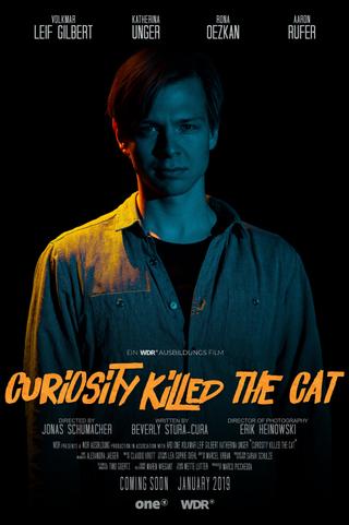 Curiosity killed the Cat poster