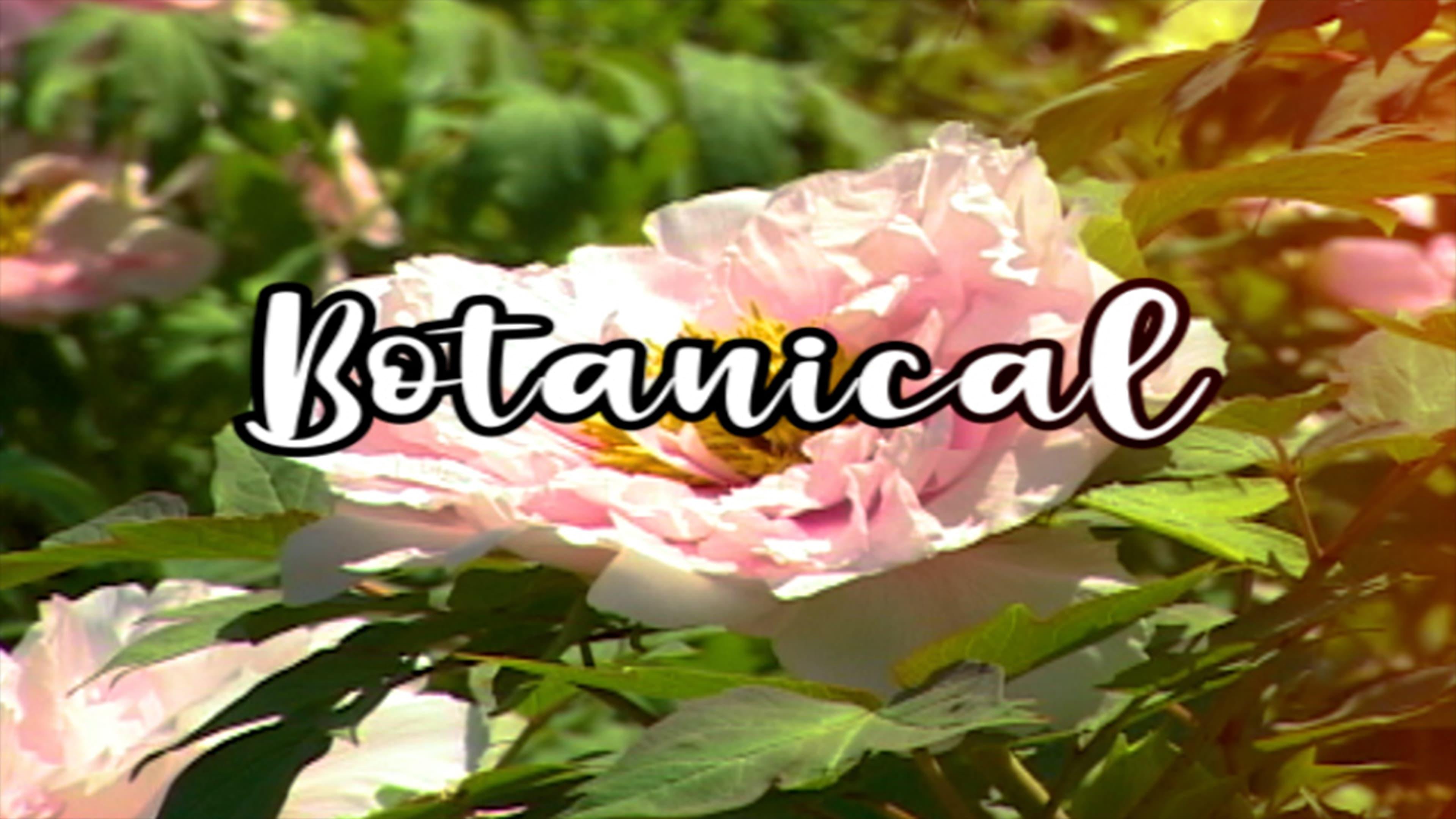 Bloom Skateboards Presents Botanical backdrop