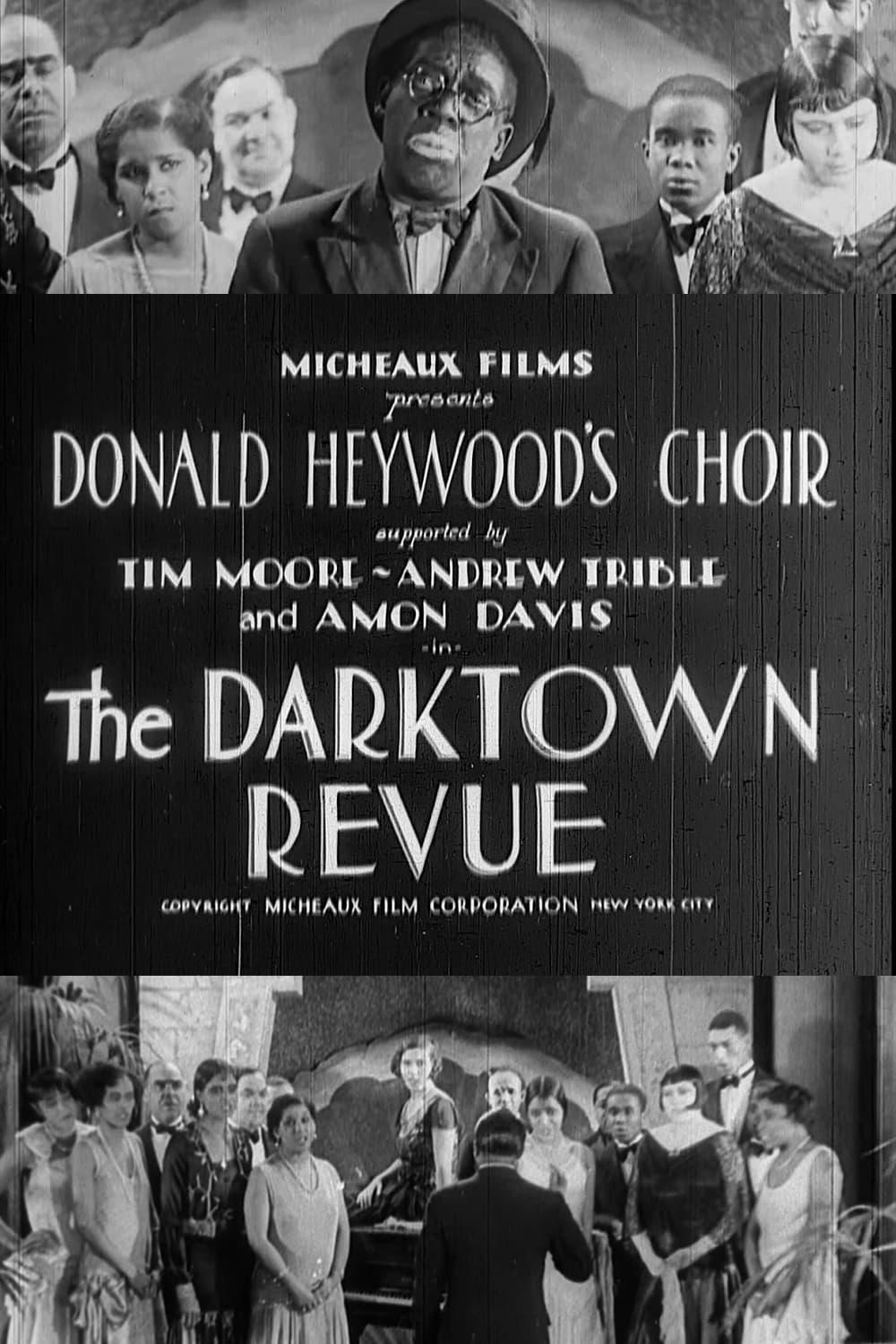 The Darktown Revue poster