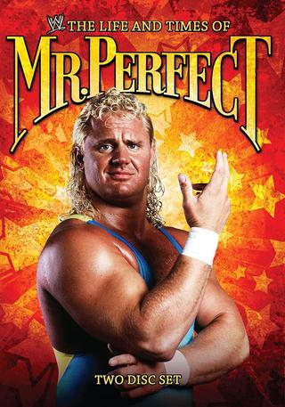 The Life and Times of Mr. Perfect poster