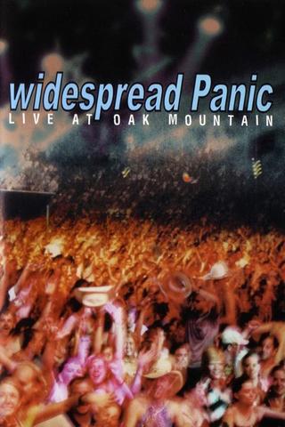 Widespread Panic: Live at Oak Mountain poster
