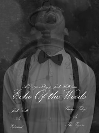 Echo Of The Woods poster