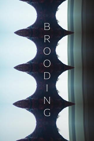 Brooding poster