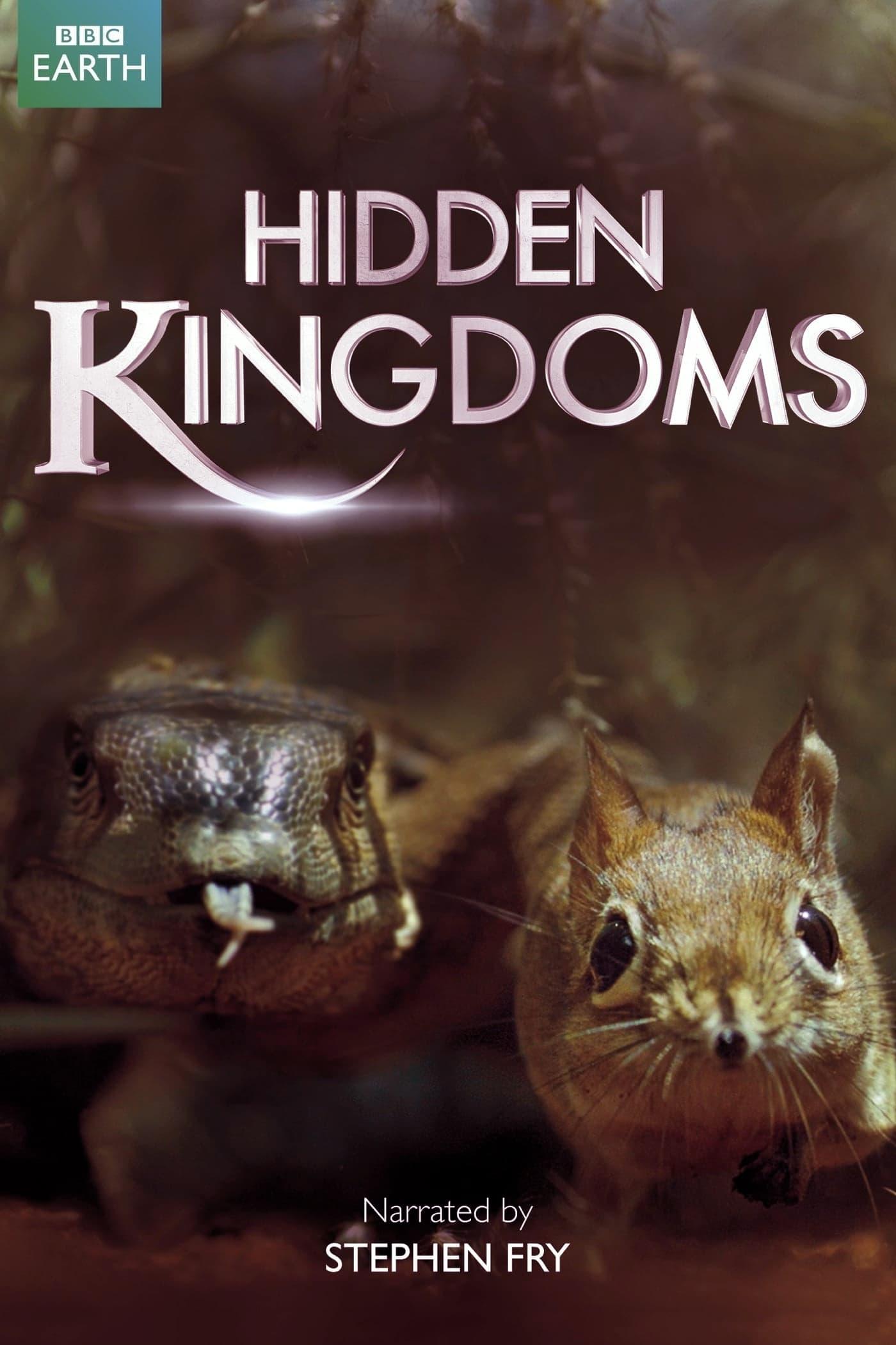 Hidden Kingdoms poster