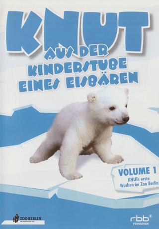 Knut - Aus der Kinderstube eines Eisbären poster