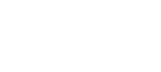 The Rachel Maddow Show logo