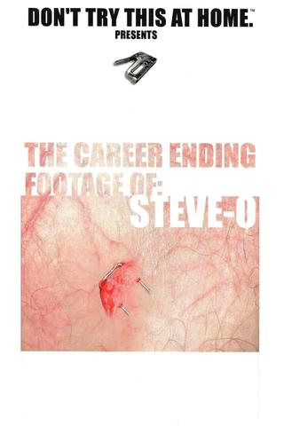 The Career Ending Footage of: Steve-O poster
