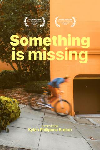 Something is missing poster