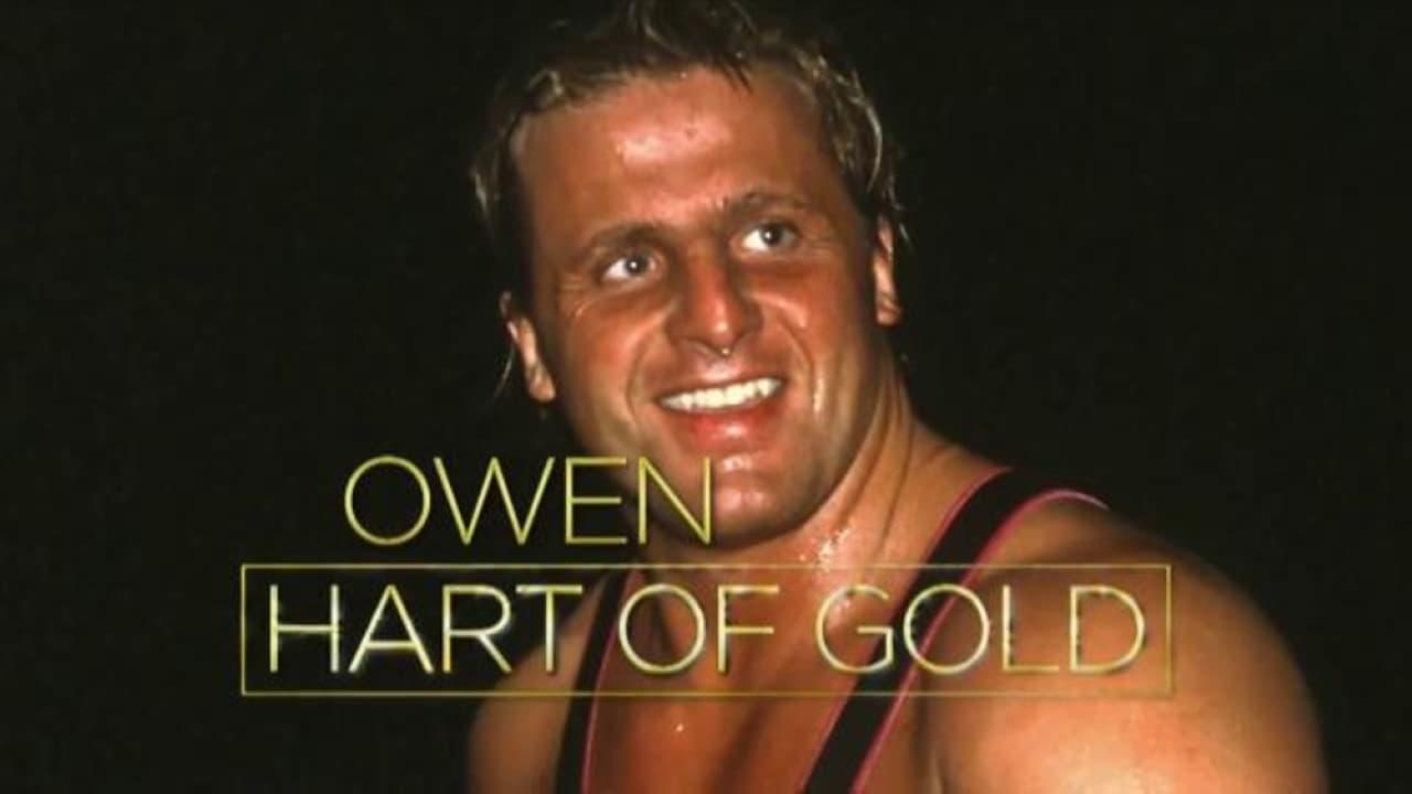 Owen Hart of Gold backdrop