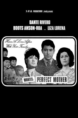 Wanted: Perfect Mother poster